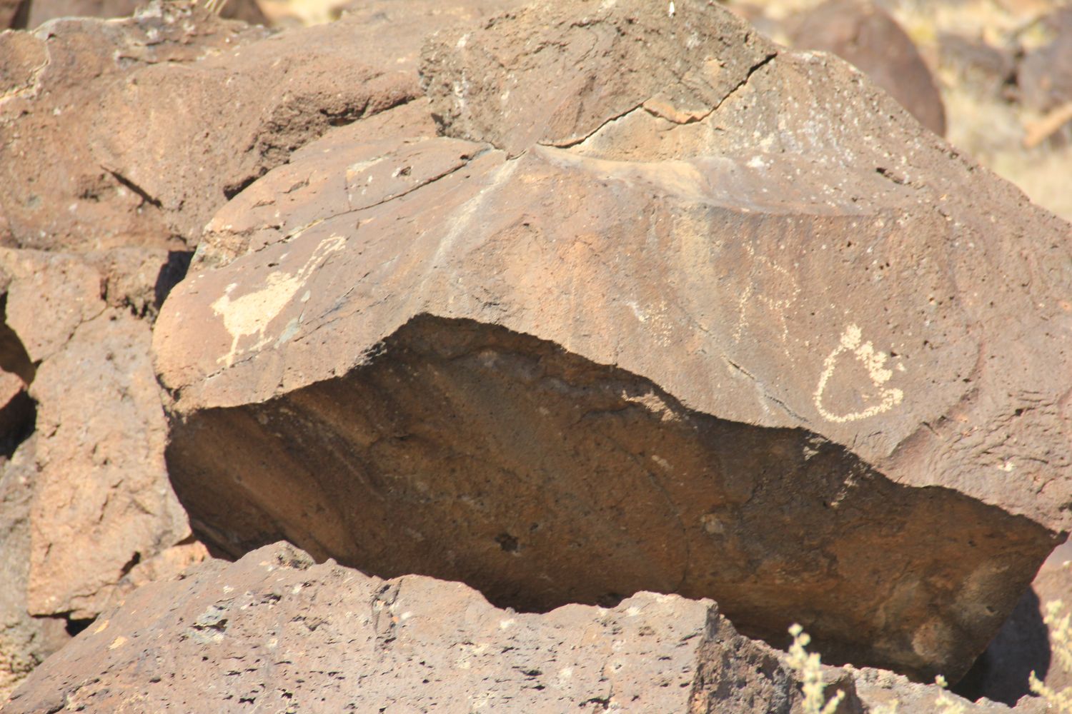 Petroglyph National Monument 